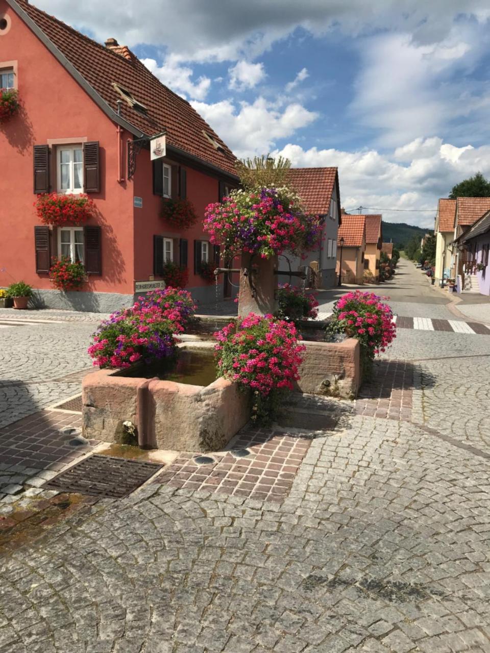 Le Nid De Cigognes Hotel Hengwiller Exterior photo